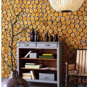 Plastry drewniane - Naturalne krążki drewna w różnych rozmiarach, idealne do dekoracji wnętrz