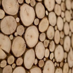 Naturalne plastry drewna w rustykalnej aranżacji, doskonałe do DIY i rękodzieła